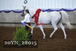 20YN_28015 thumbnail
