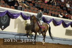 20YN_34226 thumbnail
