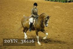 20YN_36116 thumbnail