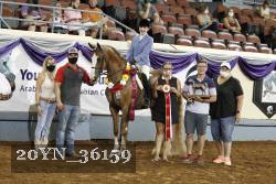 20YN_36159 thumbnail