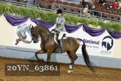 20YN_63861 thumbnail