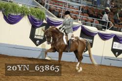 20YN_63865 thumbnail