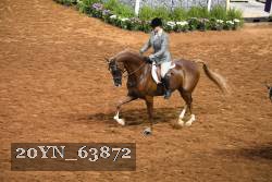 20YN_63872 thumbnail
