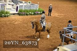 20YN_63873 thumbnail