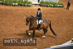 20YN_63874 thumbnail