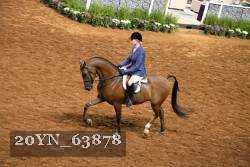 20YN_63878 thumbnail