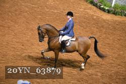 20YN_63879 thumbnail