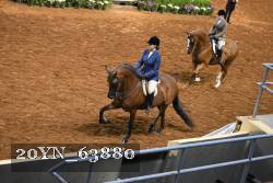 20YN_63880 thumbnail