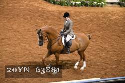 20YN_63881 thumbnail