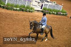 20YN_63882 thumbnail
