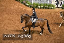 20YN_63883 thumbnail