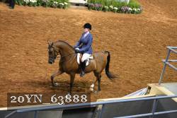 20YN_63888 thumbnail