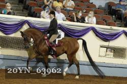 20YN_63962 thumbnail