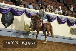 20YN_63971 thumbnail