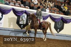 20YN_63972 thumbnail