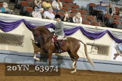 20YN_63974 thumbnail