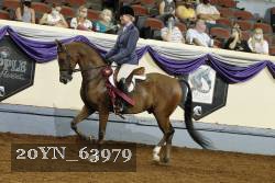 20YN_63979 thumbnail