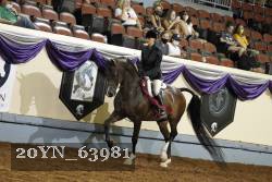20YN_63981 thumbnail