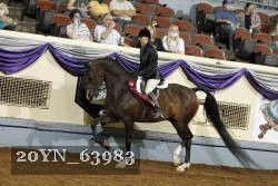 20YN_63983 thumbnail