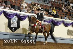 20YN_63991 thumbnail