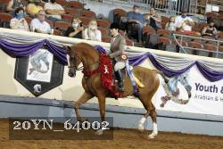 20YN_64002 thumbnail
