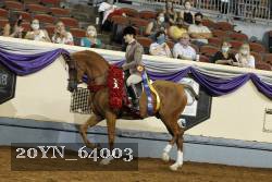 20YN_64003 thumbnail