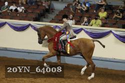 20YN_64008 thumbnail