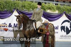 20YN_08447 thumbnail