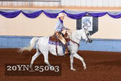 20YN_25003 thumbnail