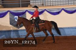 20YN_12174 thumbnail