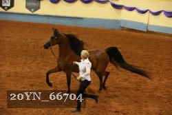 20YN_66704 thumbnail