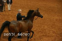 20YN_66707 thumbnail