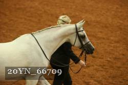 20YN_66709 thumbnail