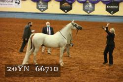 20YN_66710 thumbnail