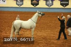 20YN_66711 thumbnail