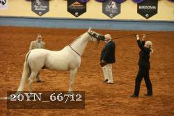 20YN_66712 thumbnail