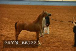 20YN_66722 thumbnail