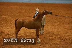 20YN_66723 thumbnail
