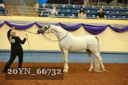 20YN_66732 thumbnail