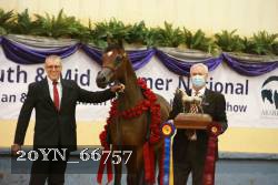 20YN_66757 thumbnail