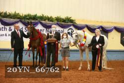 20YN_66762 thumbnail