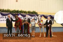 20YN_66763 thumbnail