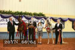 20YN_66764 thumbnail