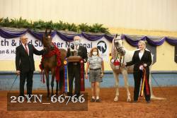 20YN_66766 thumbnail