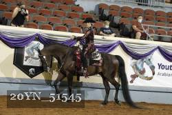 20YN_51545 thumbnail