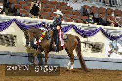 20YN_51597 thumbnail
