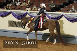 20YN_51601 thumbnail