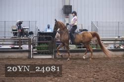 20YN_24081 thumbnail