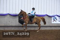 20YN_24229 thumbnail