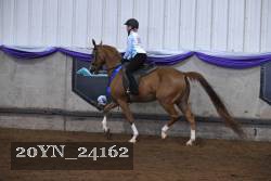 20YN_24162 thumbnail